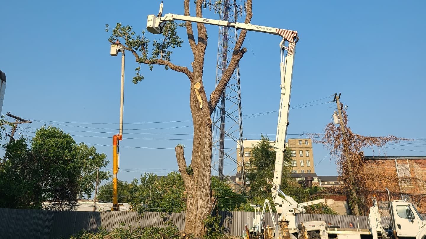 One of a Kind Tree Services, LLC.