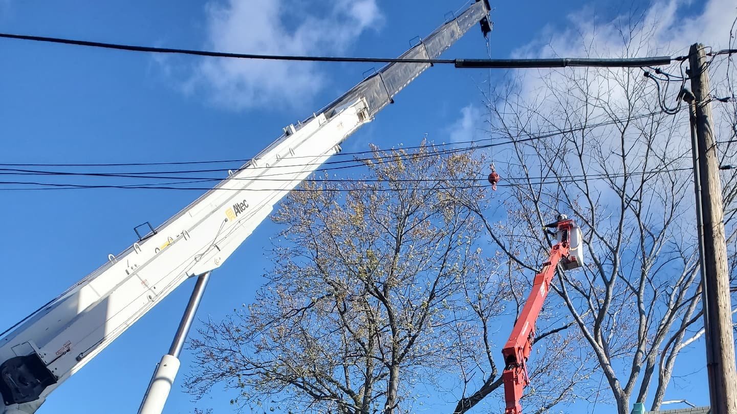 T.W. Enterprises, Inc Tree & Landscaping Co.