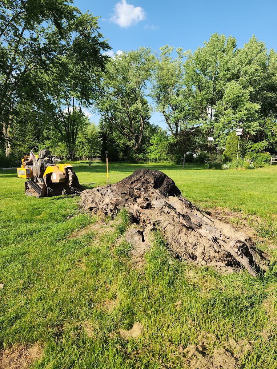 New View Stump Grinding