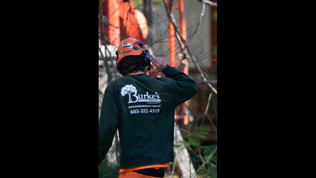 Burke's Tree Service
