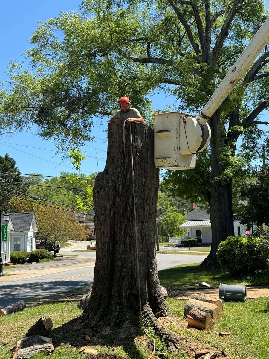Tree service 4 u