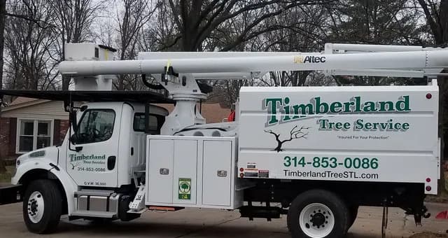 Timberland Tree Service