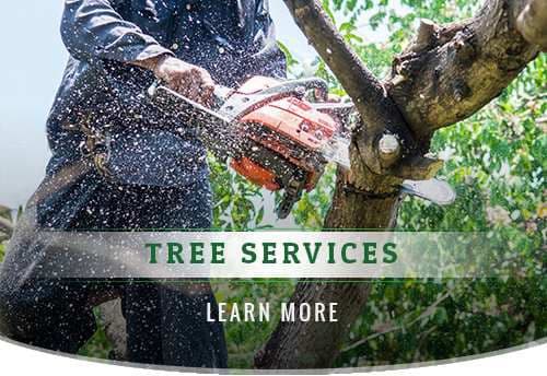 Martin's Tree Service