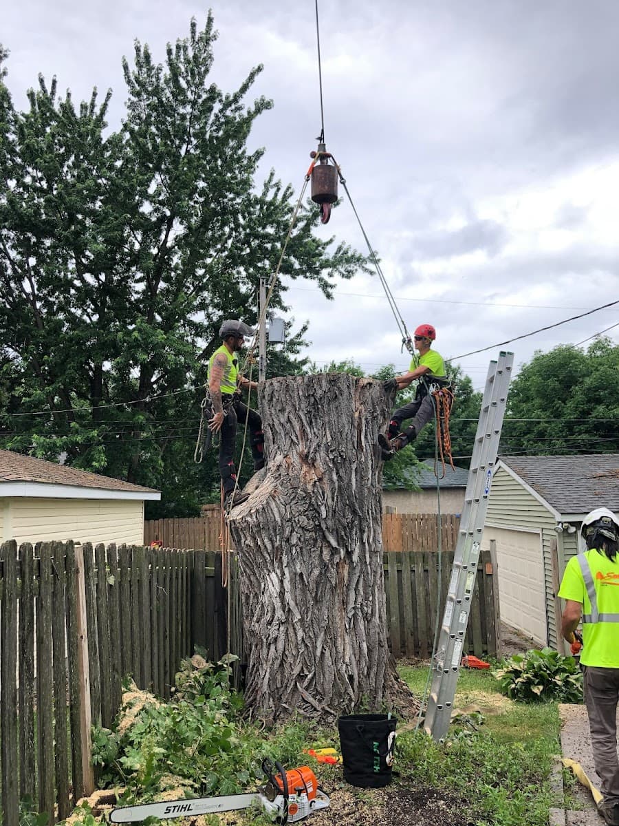 Sorenson Tree Service