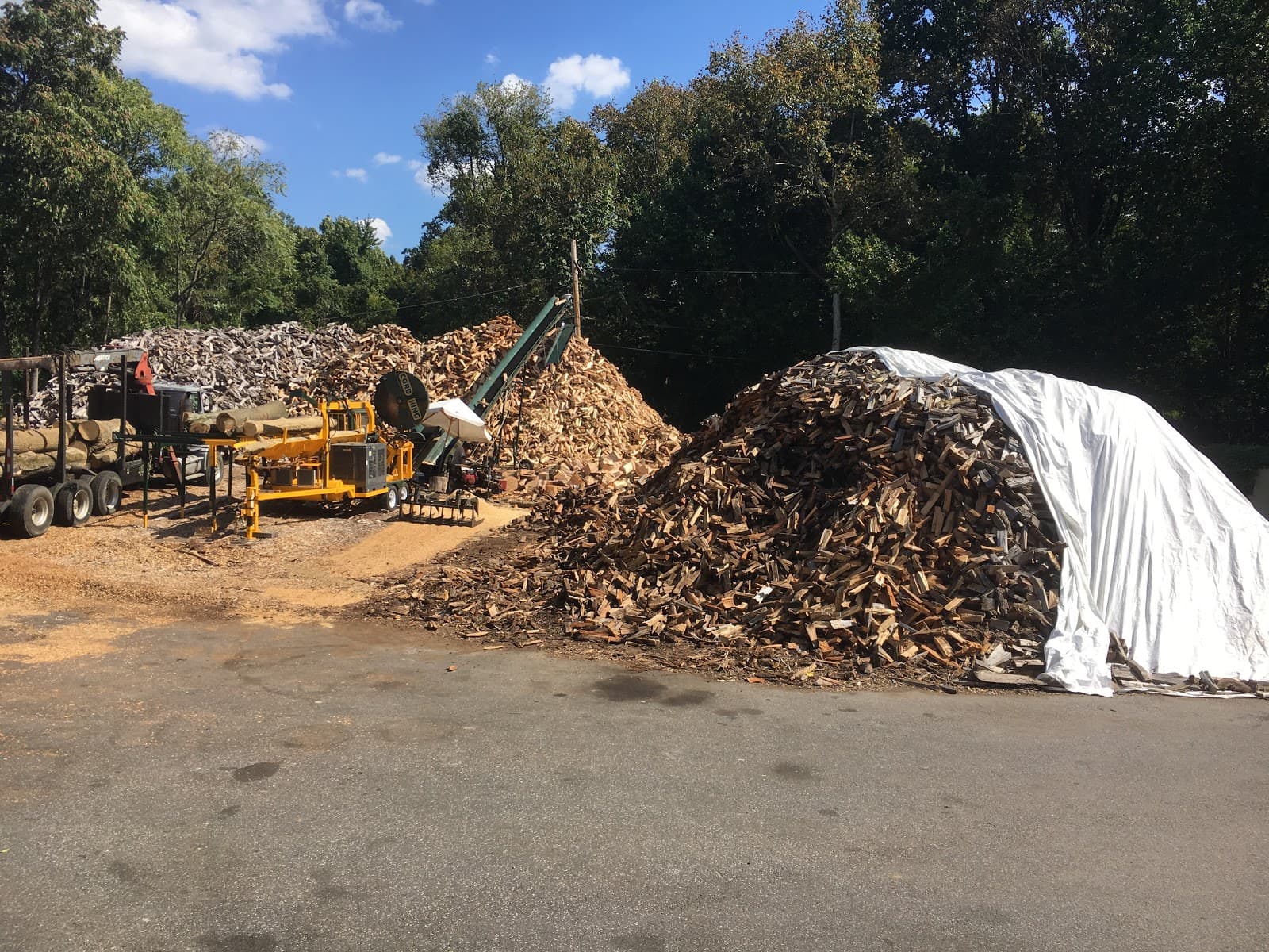 Bradley Tree Experts