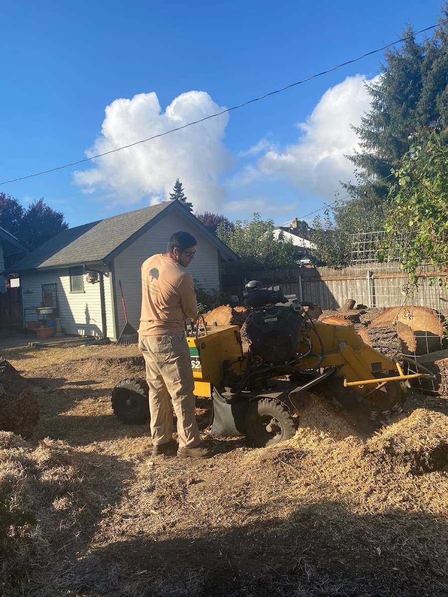 New Life Tree Service LLC