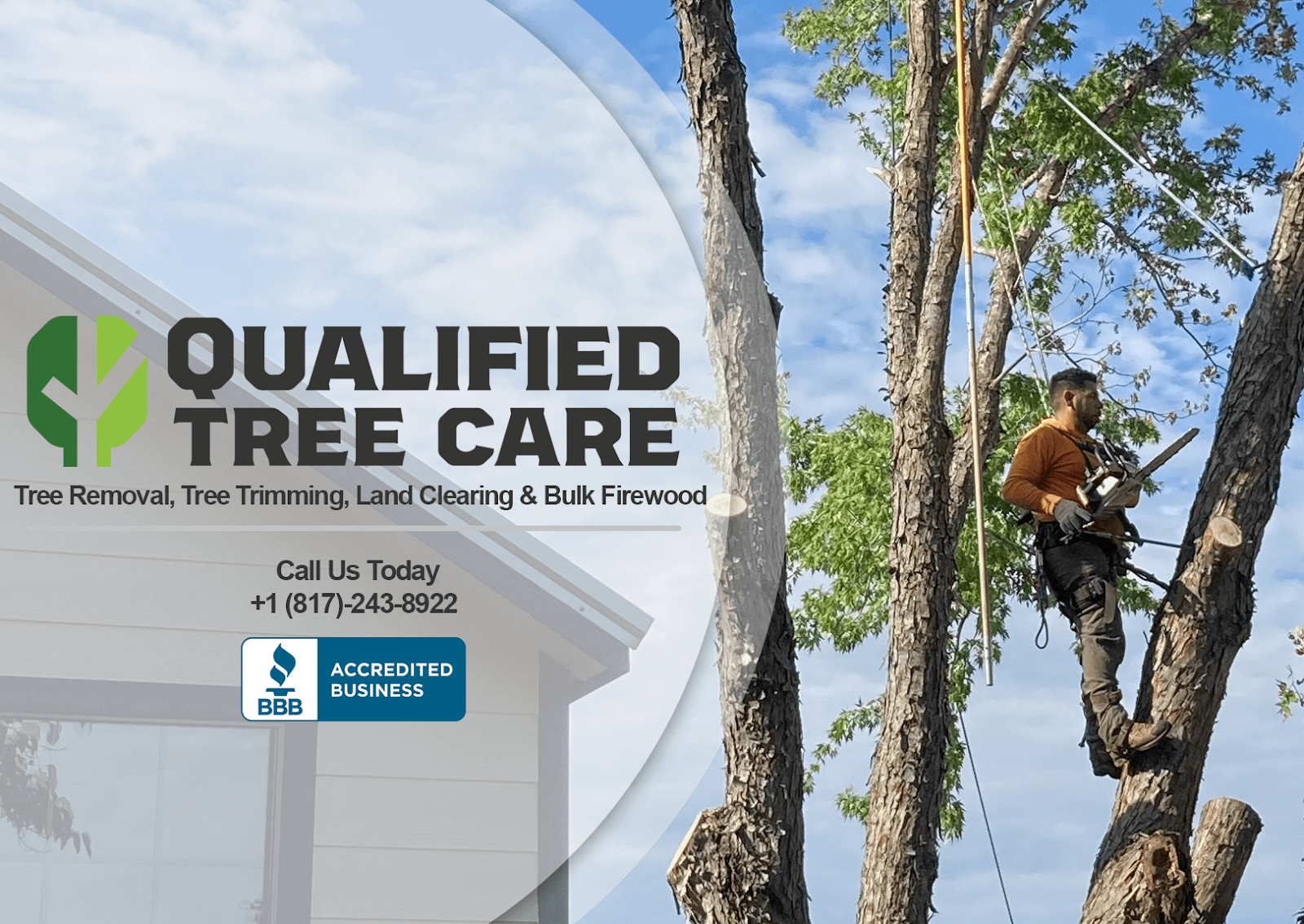 Qualified Tree Care