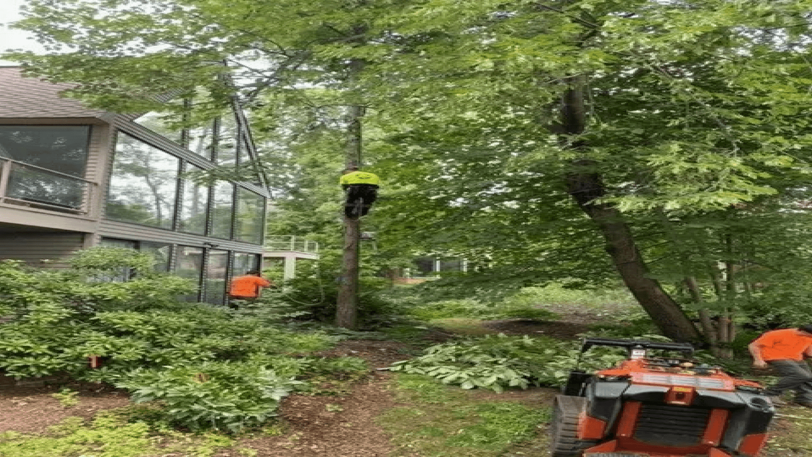 Maxon's Tree Service