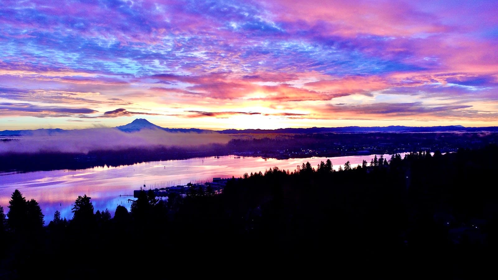 PNW Arborist Consulting Inc