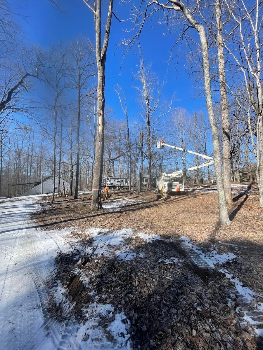 Lucky’s Tree Removal and Landscape Services