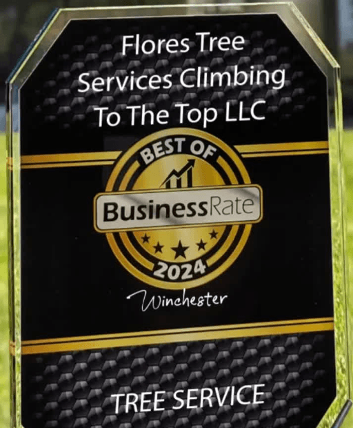Flores Tree Services Climbing To The Top LLC
