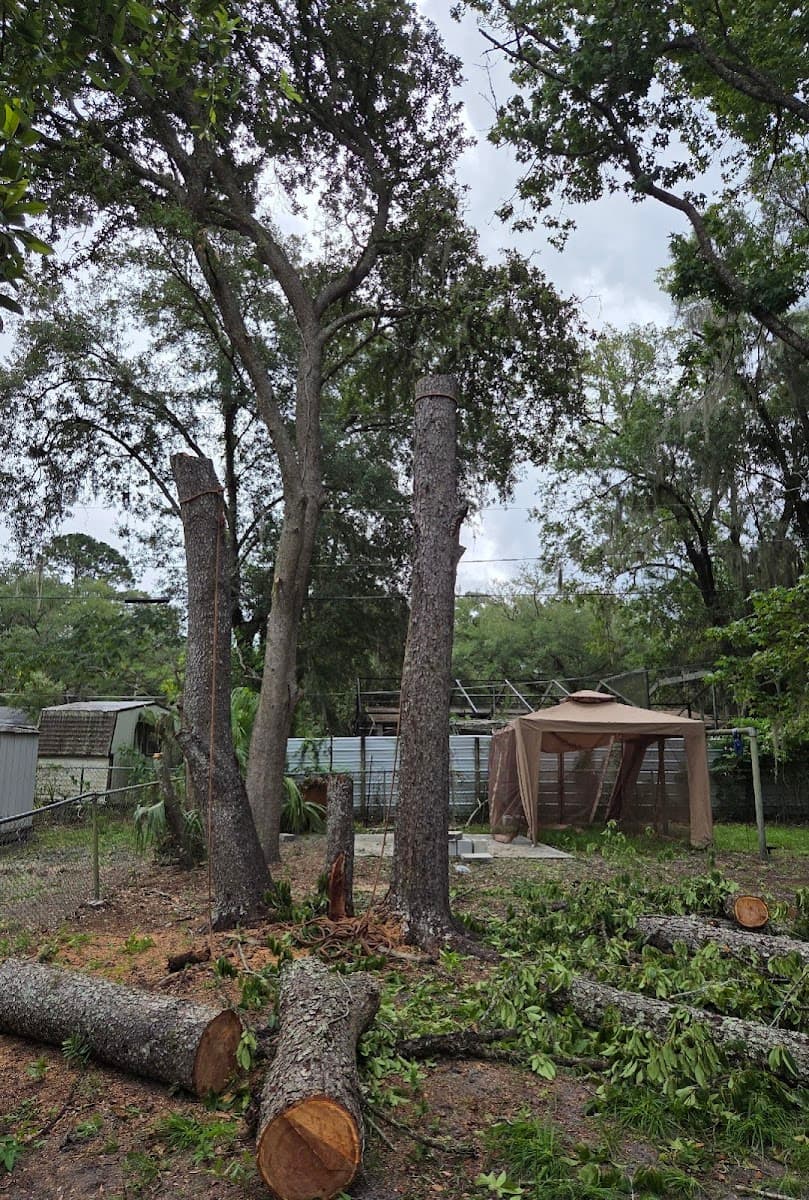 Dathan baties professional services