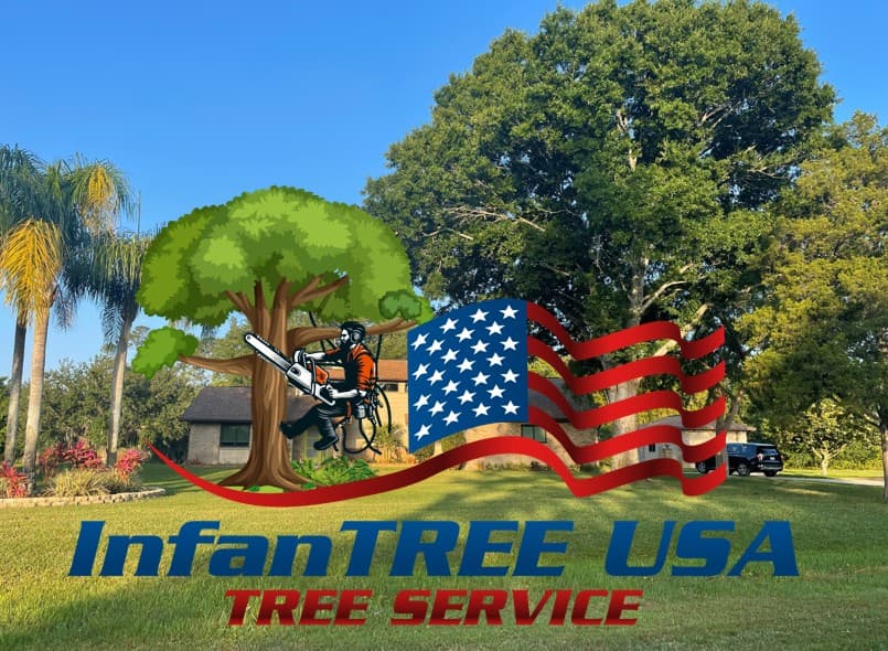 InfanTREE USA Tree Service
