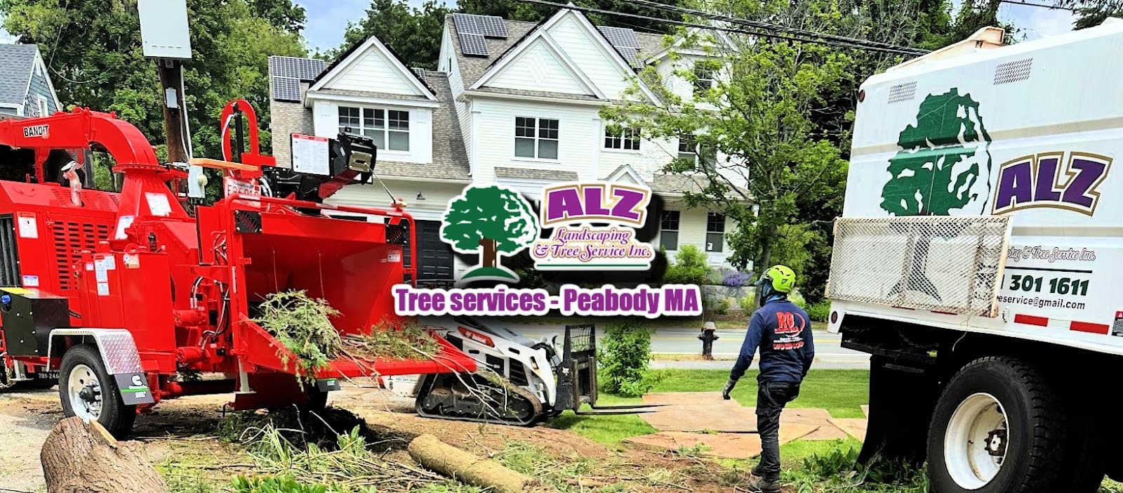 ALZ Tree Service