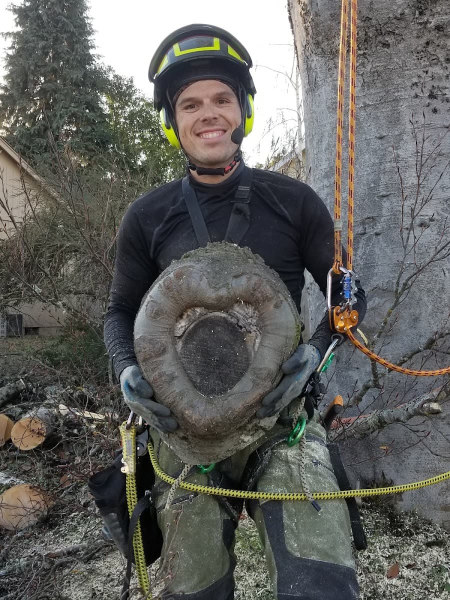 Jacob's Ladder Tree Tech