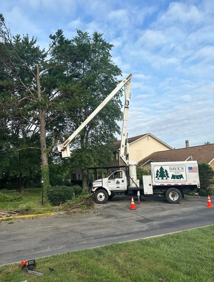 Dave's Tree and Stump Service
