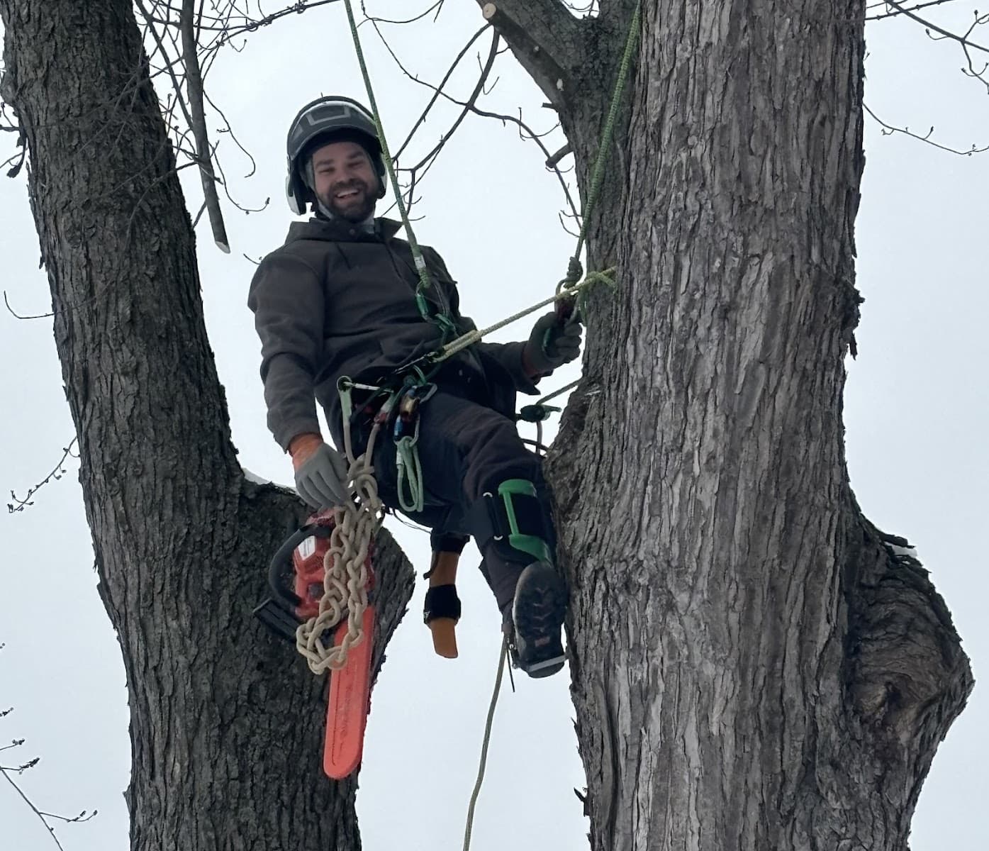 Matzen Tree Service