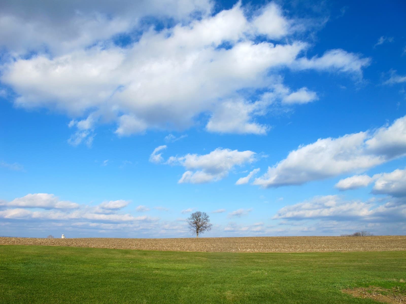 Lebanon Valley Tree Care