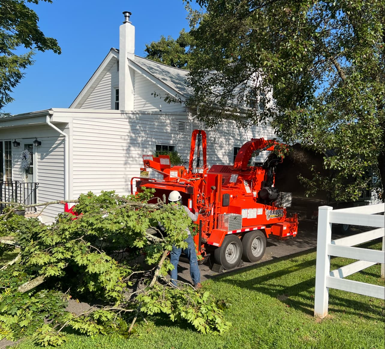 Lumberjacks Tree Service