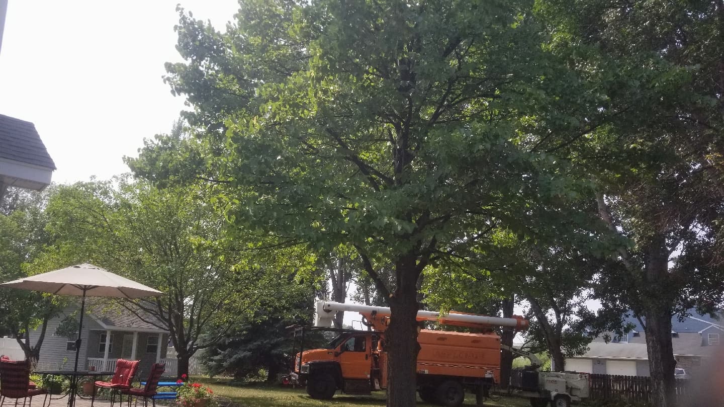 Grand Forks Tree Service, LLC