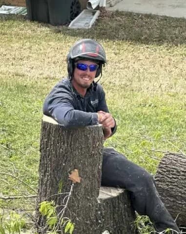 American Advance Tree