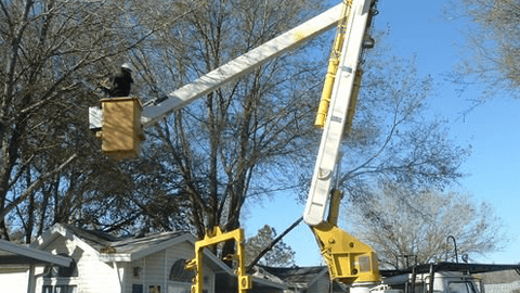 Mid-Florida Tree Service, Inc.