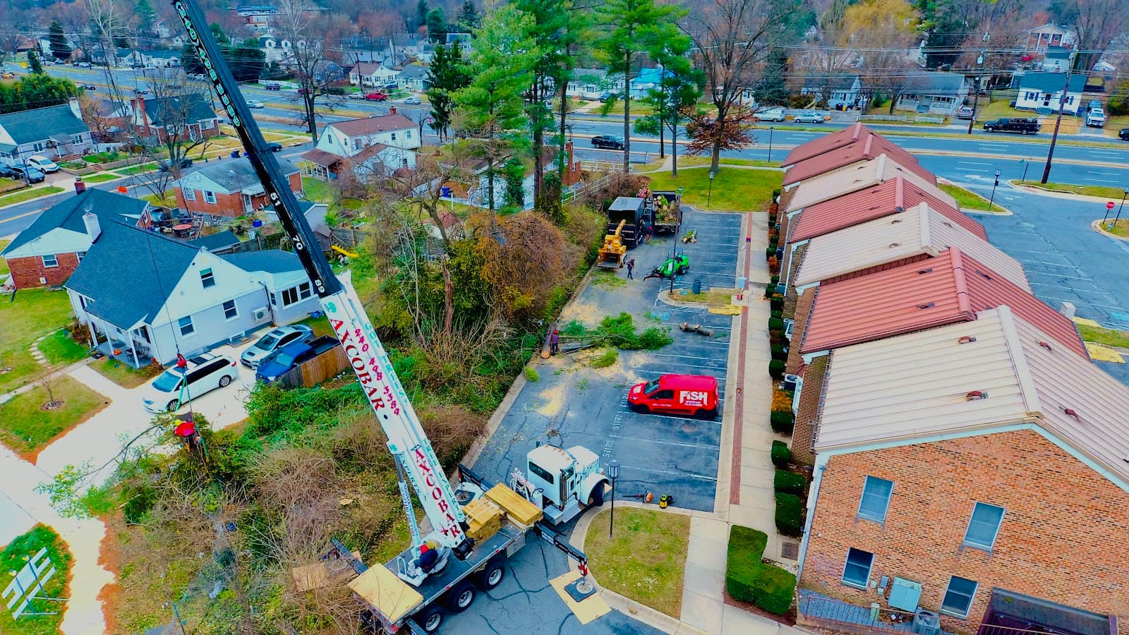 Axcobar Tree Experts.