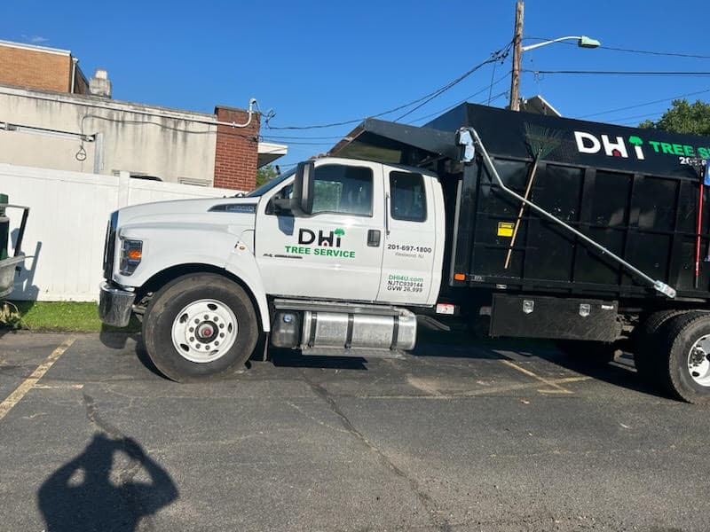 DHI Tree Services in Bergen County, NJ
