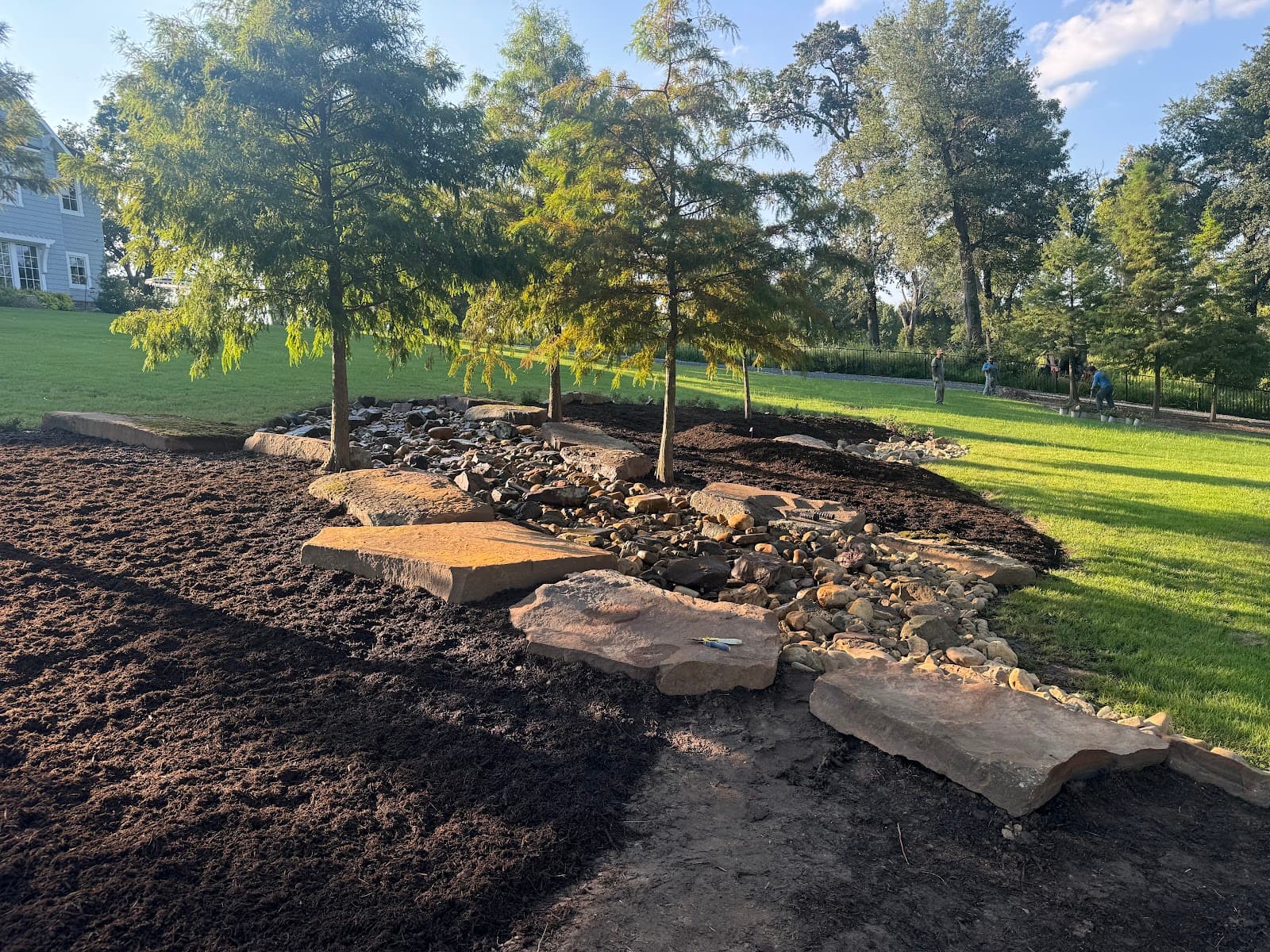 CriXus Tree Turf & Irrigation