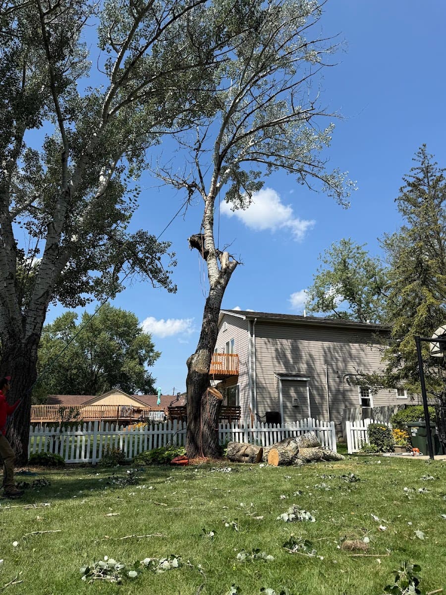 StumpWerx Tree Service