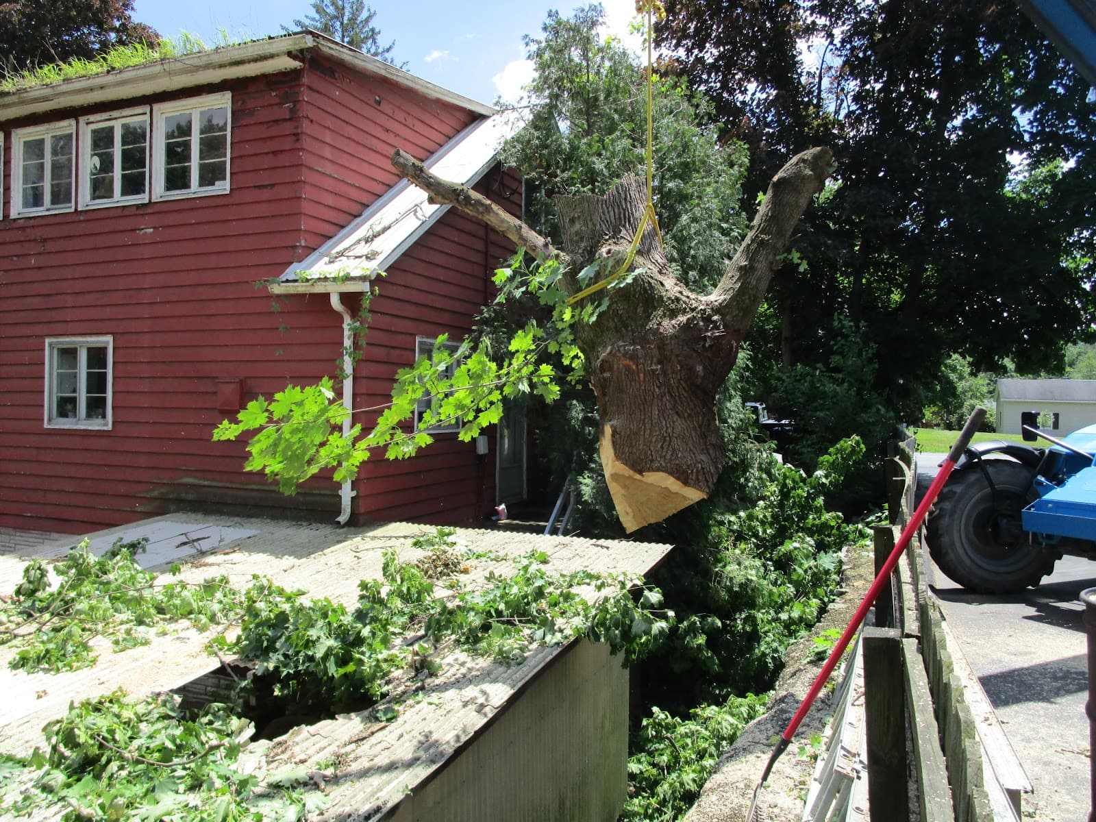 Penn Haven Tree Works & Firewood