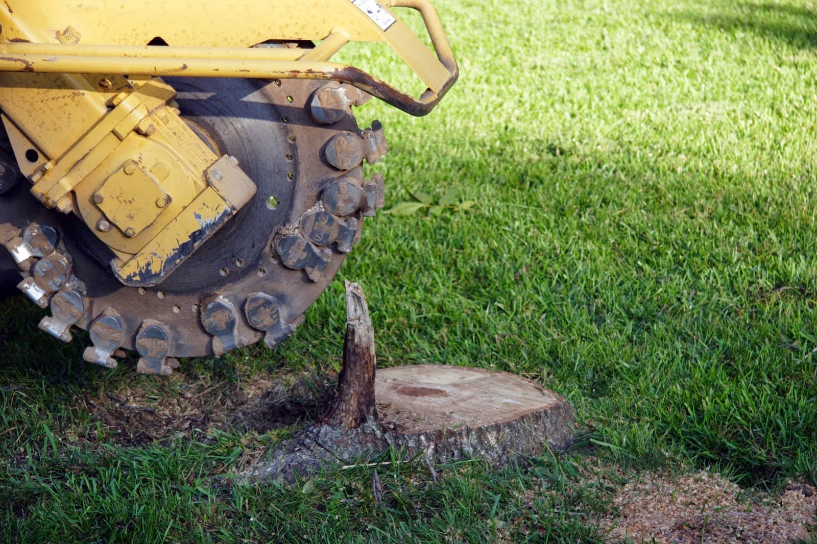 JJ's Professional Tree Service and Stump Removal, Inc.