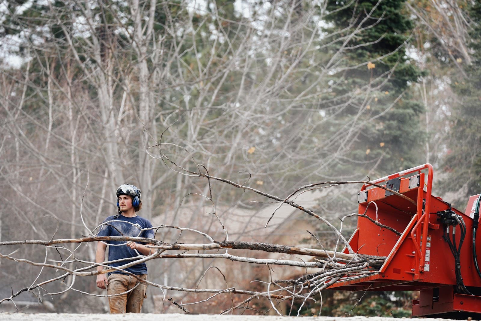 Northwest Tree Care LLC