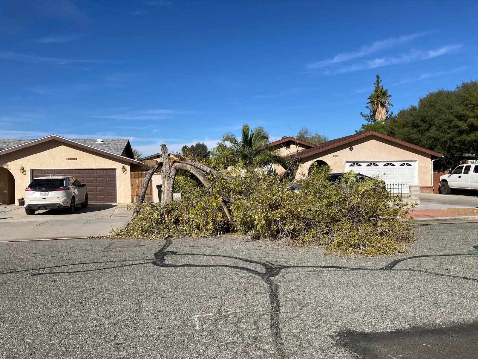 Tree Service Pros of Frisco