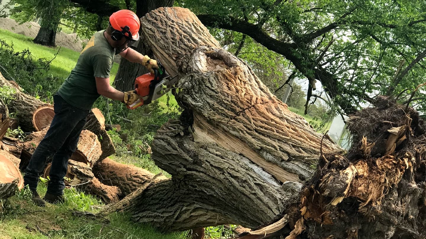 Hawkins Tree Service LLC