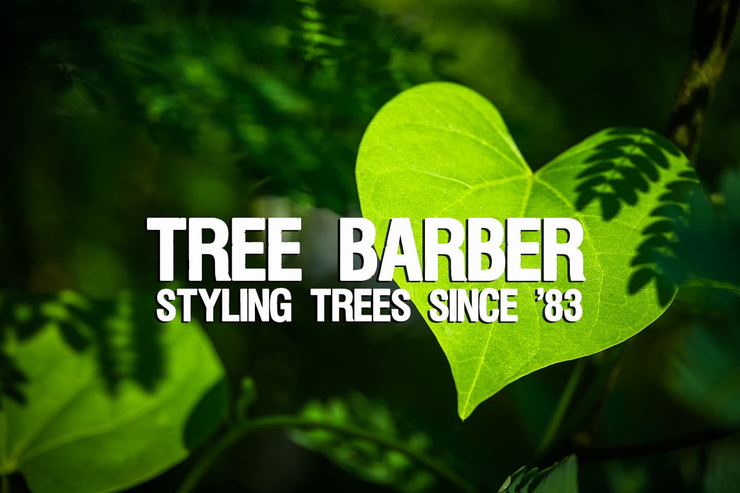 Tree Barber Enterprises, Inc