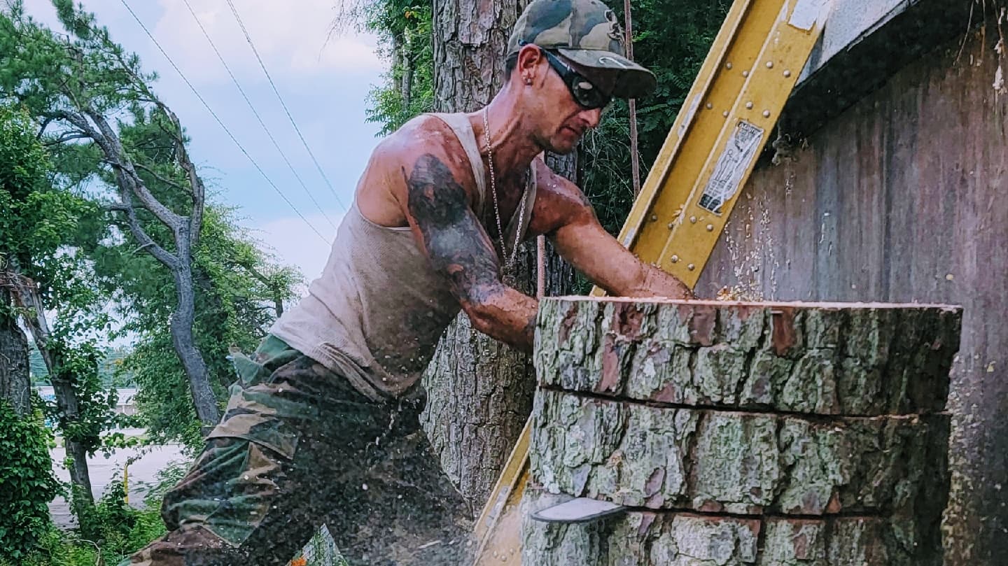 David's Tree Professionals