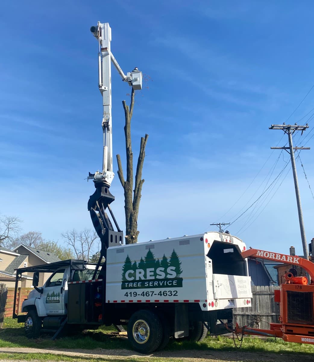 Cress Tree Service