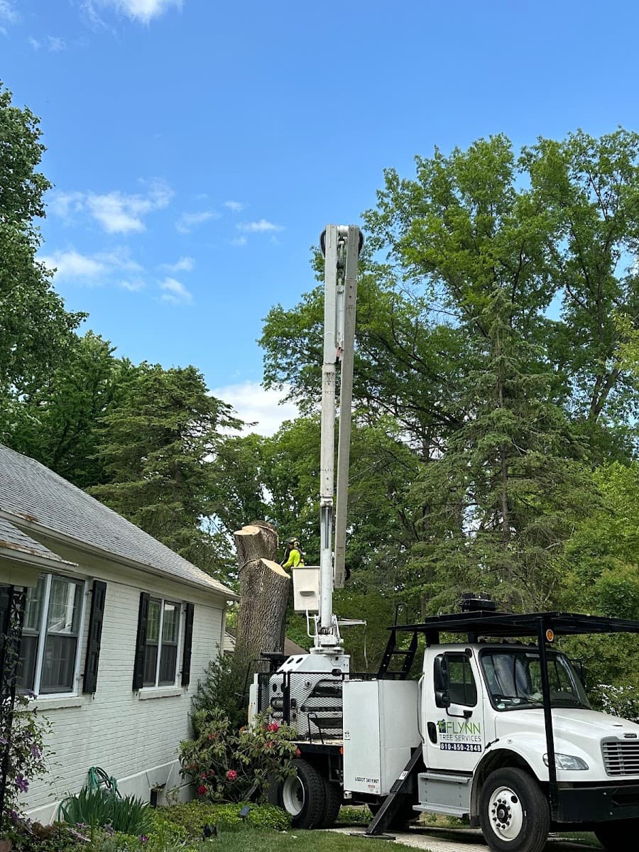 Flynn Tree Services