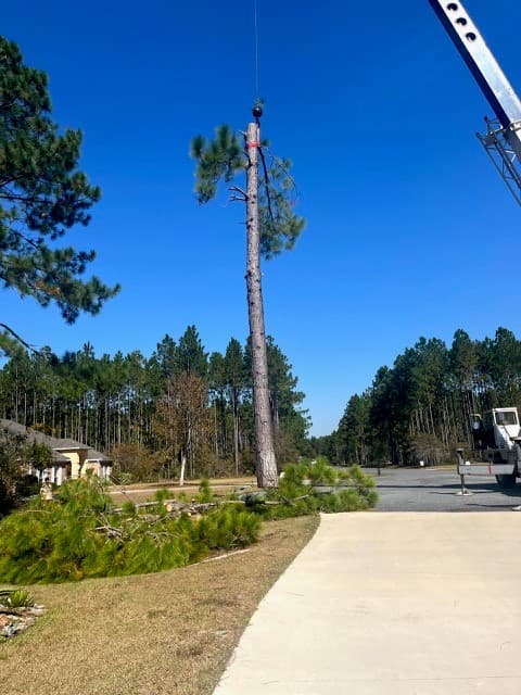 Hometown Tree Service