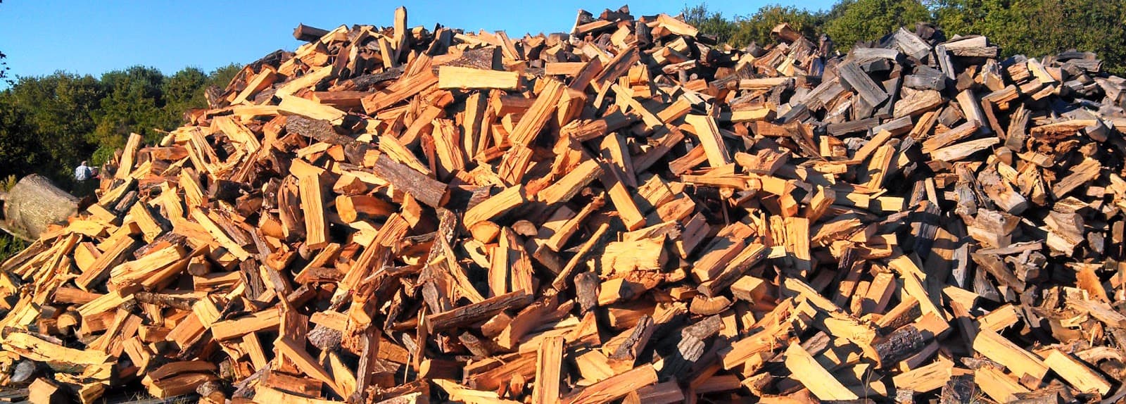 Timberwolf Tree Service