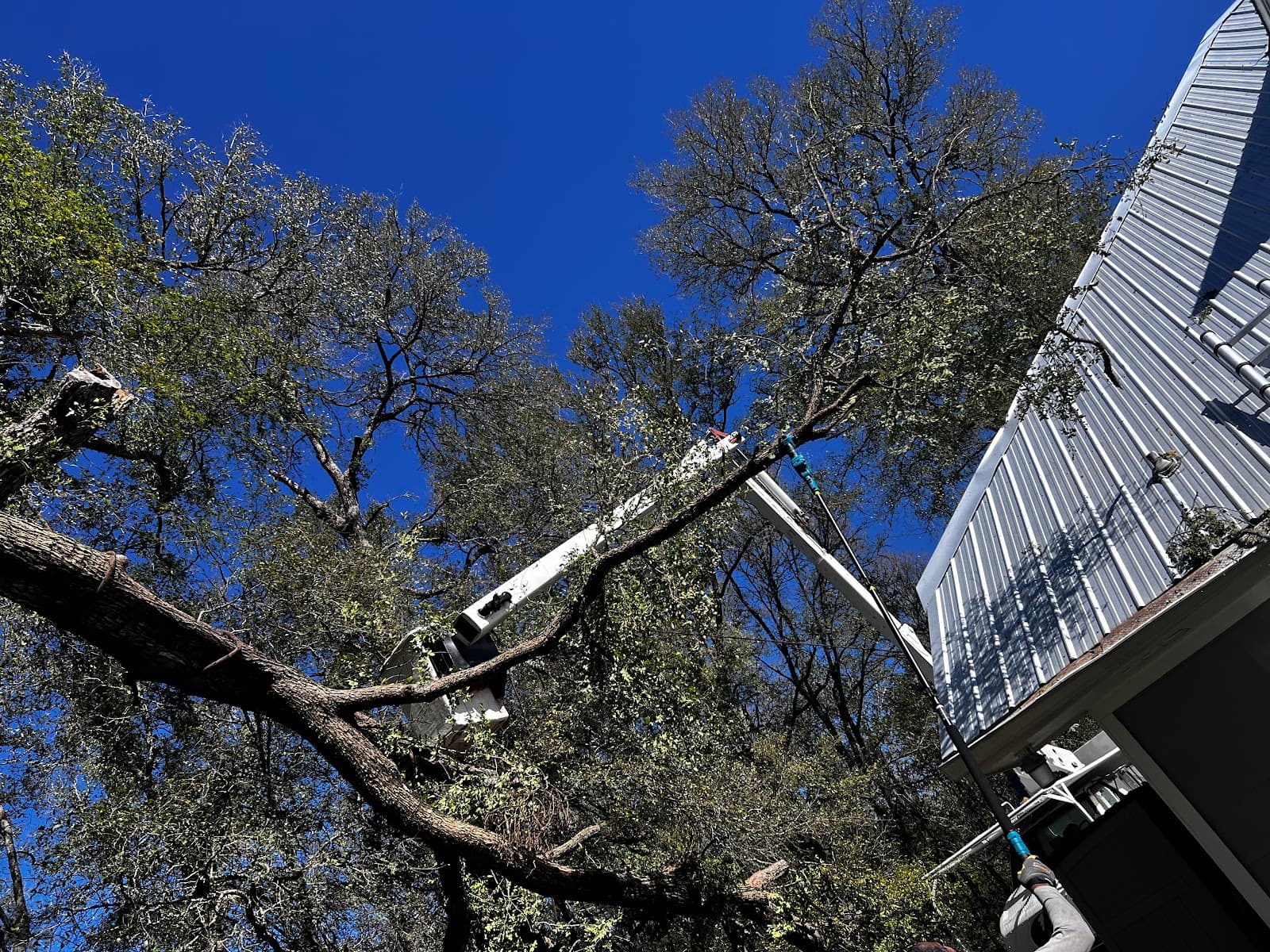 Ramos Tree Services LLC