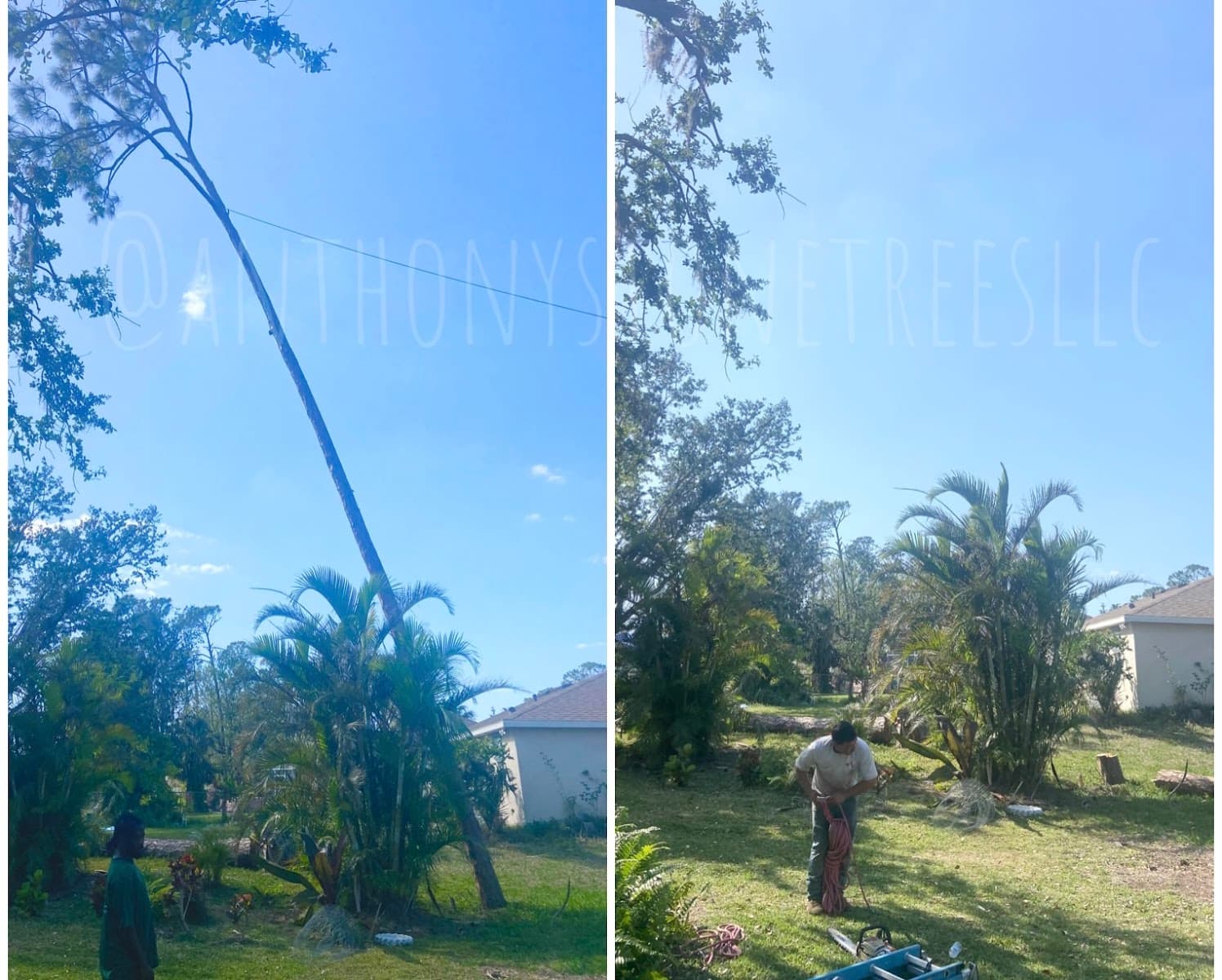 Anthony Stone Landscaping, Tree Trimming, & Removal