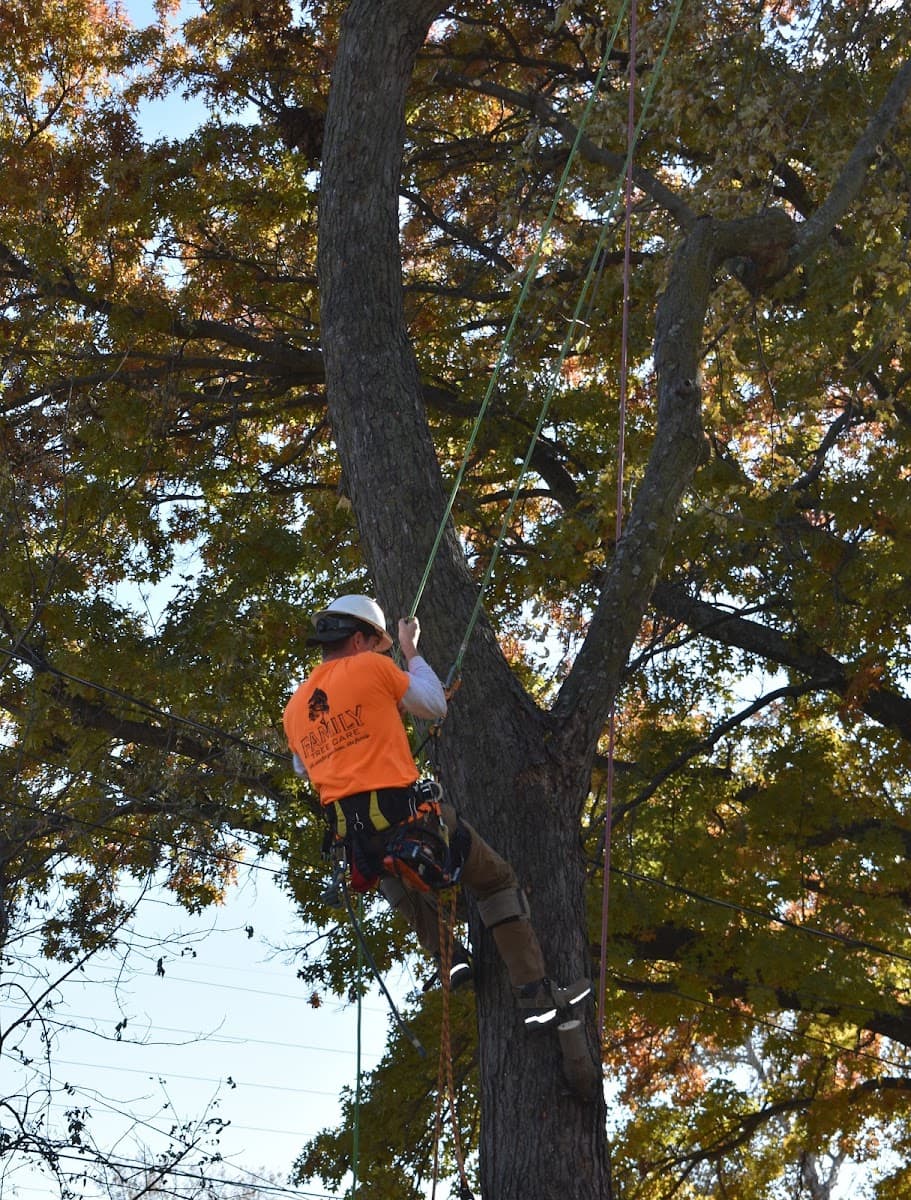 Family Tree Care
