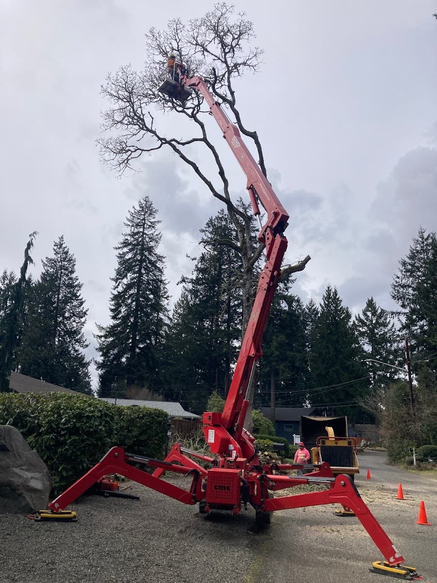 Beko's Tree Service and Wood Carving