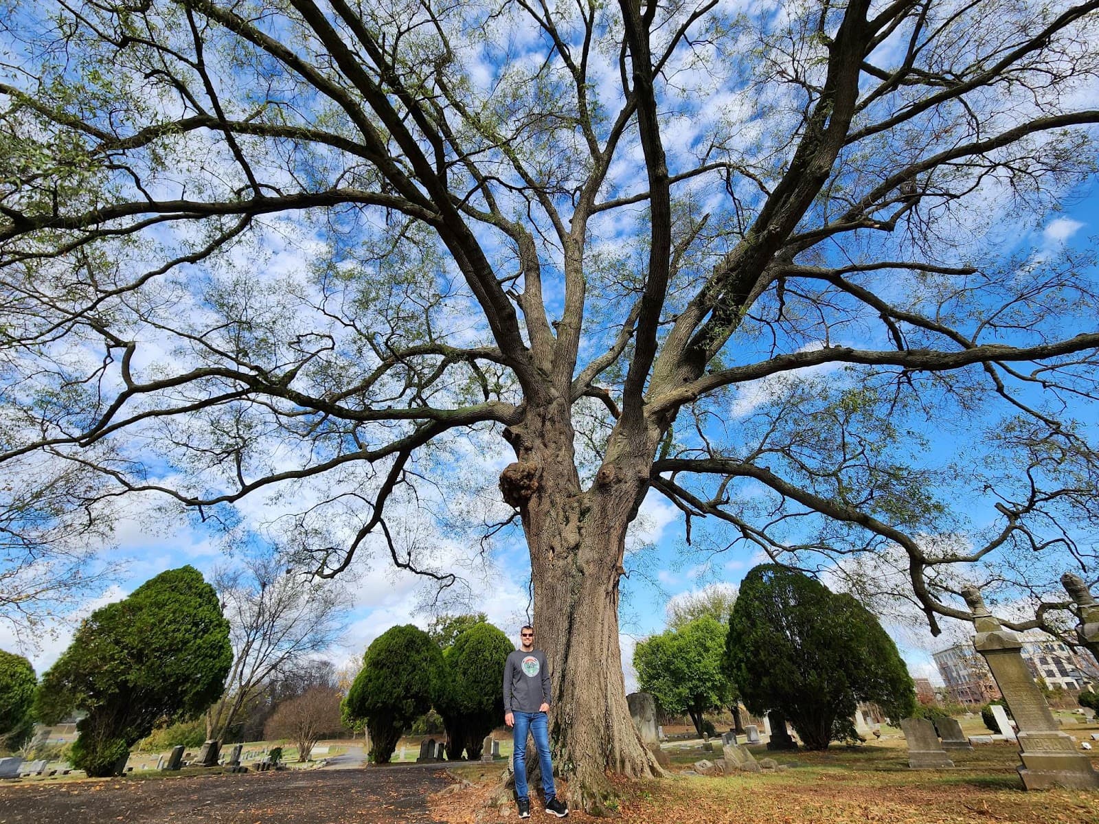 Seidel's Tree Service