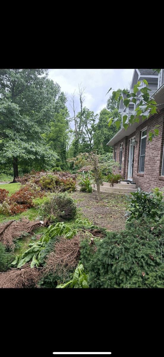 Integrity Tree Removal