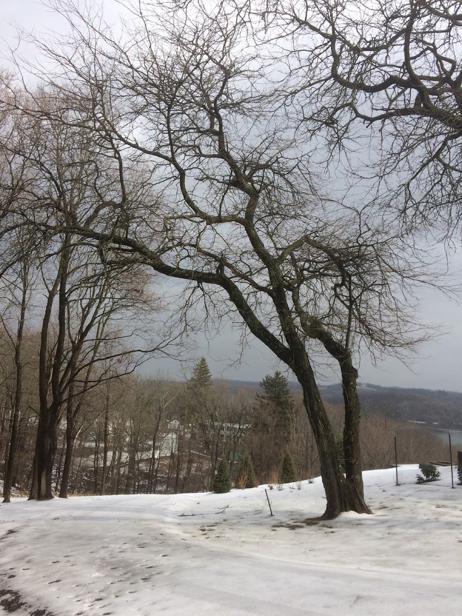 J & J Tree Works the Arbor Barber