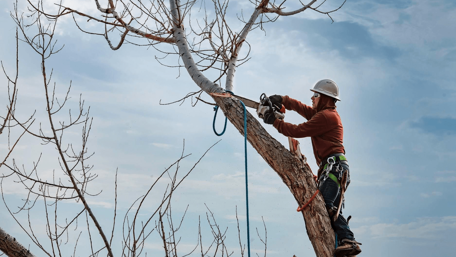 Field’s Tree Service, LLC