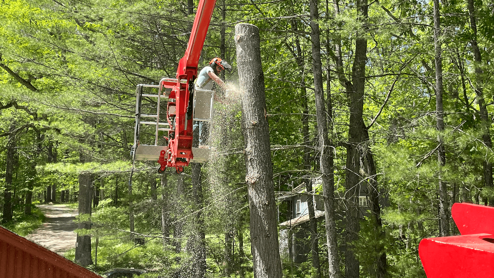 FAIR & SQUARE TREE SERVICE LLC